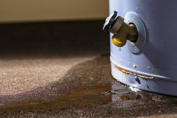 Best Sewage cleanup and water damage restoration  in Eming Island, FL