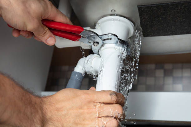 Best Water damage cleanup near me  in Eming Island, FL