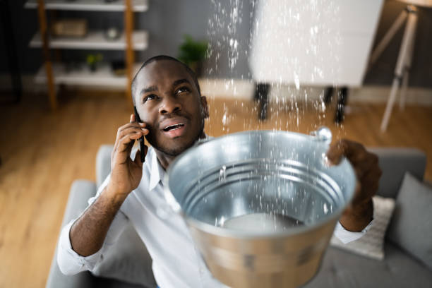 Best 24/7 water damage repair  in Eming Island, FL