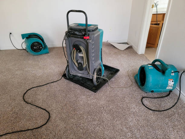 Best Residential water damage restoration  in Eming Island, FL
