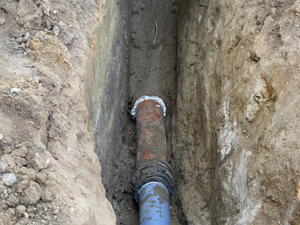 Best Basement water damage restoration  in Eming Island, FL