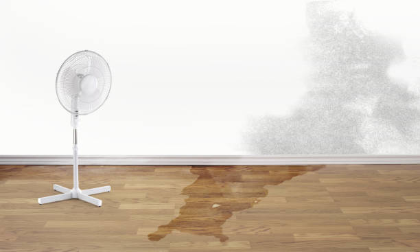 Best Water damage restoration near me  in Eming Island, FL