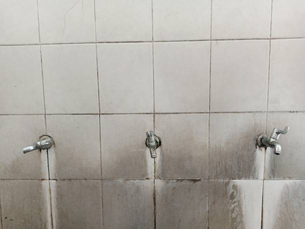 Best Flood restoration services  in Eming Island, FL