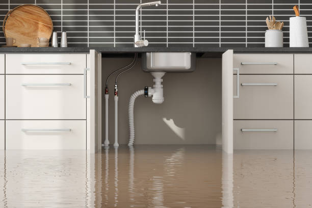 Best Professional water damage repair  in Eming Island, FL