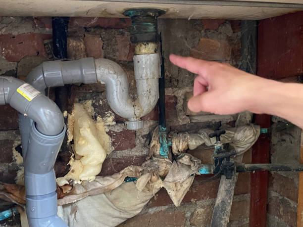  Eming Island, FL Water damage restoration Pros