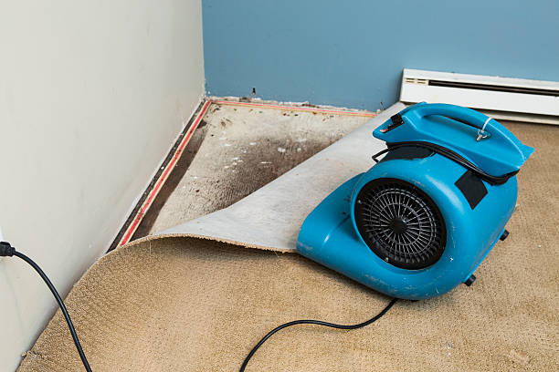 Best Water damage restoration near me  in Eming Island, FL